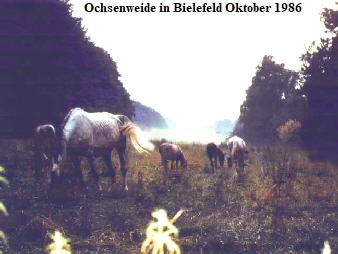 Ochsenweide in Bielefeld Oktober 1986